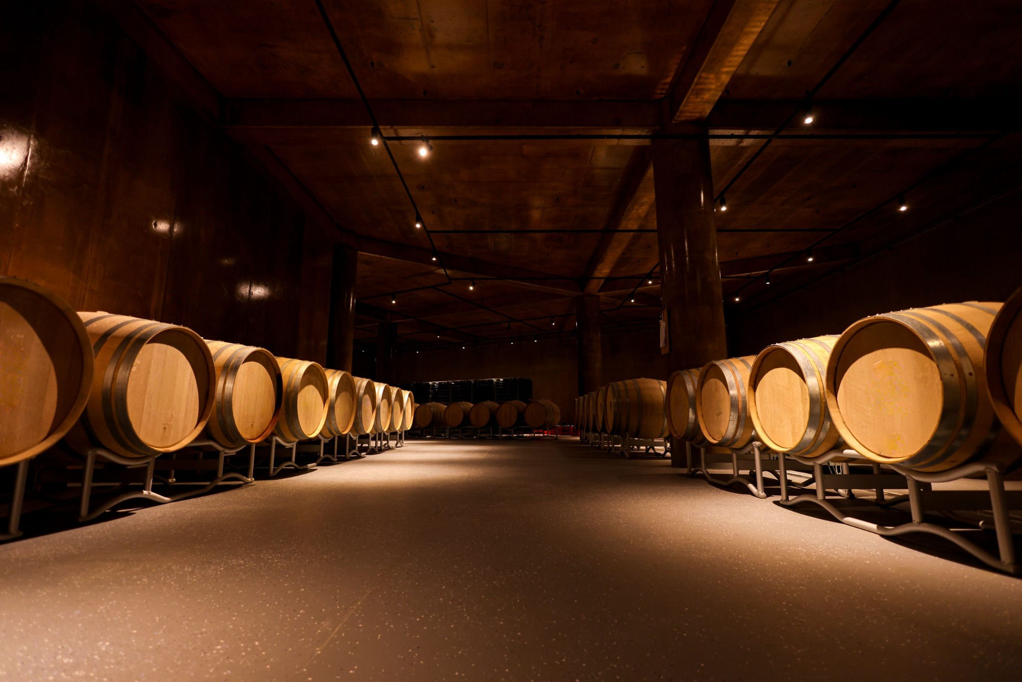 Oak barrels in the cellar