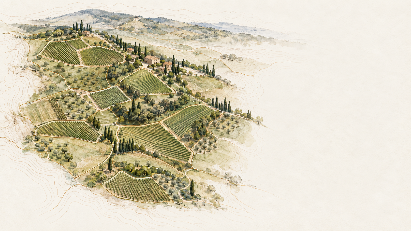 Illustrated vineyard map and landscape